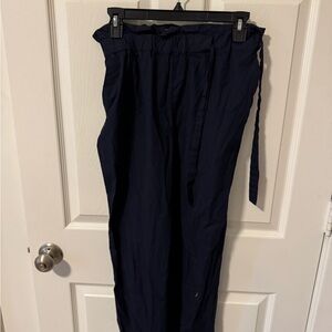Zara Women's Navy Pants